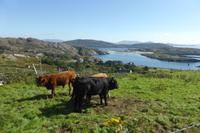 052-Derrynane-NP