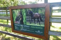 061-National-Stud_Kildare