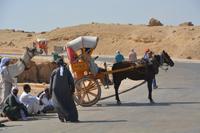 Vor den Pyramiden von Gizeh