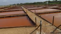 Salzanlage Salines d'es Trenc