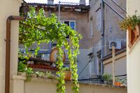 Tag – Stadt Krk (1)