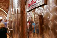 Tag – Ausflug zur Weinlese (9)