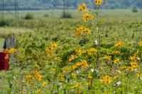 Tag – Ausflug zur Weinlese (18)