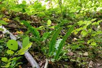 Tag – Ausflug zu den Plitwizter Seen (43)