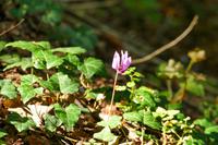 Tag – Ausflug zu den Plitwizter Seen (50)