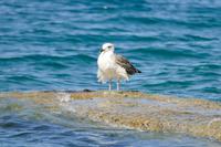 Tag – Schiffsausflug in der Kvarner Bucht (27)
