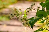 Tag – Ehemaliges 5-Sterne-Hotel zur Zeit Jugoslawiens (13)