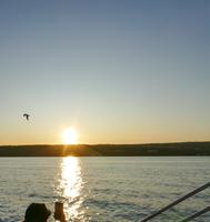 Tag – Sonnengruß (8)