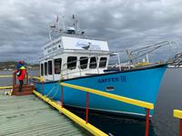 Whalewatching