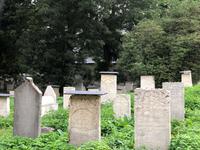 Jüdischer Friedhof in Kasimiercz