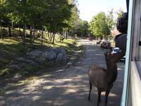 Omega Wildlife Park