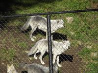 Omega Wildlife Park