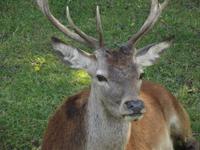 Omega Wildlife Park