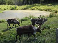Omega Wildlife Park