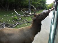 Omega Wildlife Park