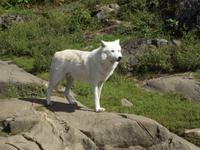 Omega Wildlife Park