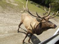 Omega Wildlife Park
