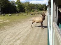 Omega Wildlife Park