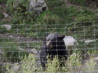 Omega Wildlife Park