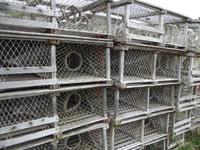 Little River Harbour - Hummerkäfige