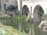 Besaluga