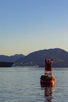 Icy Strait Point – Seelöwen