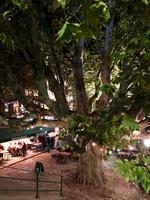 Strassburg: Spaziergang am Abend