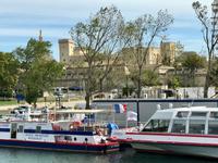 Avignon: Die Altstadt von der Rhone aus