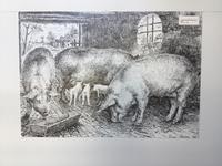 Museo del Prosciutto di Parma