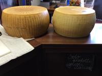 Parmigiano