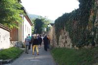 P9120277, Dürnstein