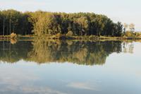 P9120308, unterwegs auf der Donau