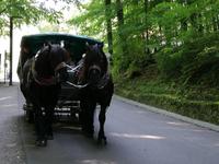 Schloss Neuschwanstein, unser Weg zum Parkplatz