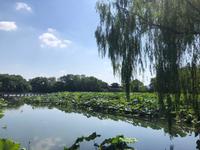 Westsee