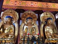 Ahnentempel der Familie Chen