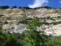 Kalksteinfelsen an der Westküste