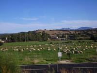 typisch Sardinien