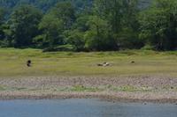 Schifffahrt auf dem Li-Fluss (16)