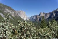 Yosemite Nationalpark