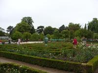 Tag 4 - 7 - Bummel durch den Stadtgarten von Rouen (1)