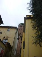 Lucca