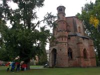 DSCN4798   alter Gingo Baum