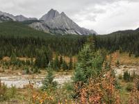 im Hochtal der Ink Pots