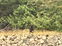 hmmm was war denn da ?