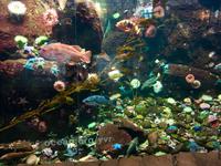 im Flughafen von Vancouver