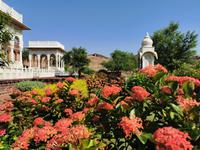 Üppig blüht es im gepflegten Garten von Jaswant Thada