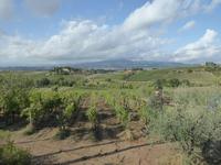 Bauernhof in Montaioncino