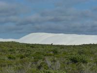 046 Perth - Wanderdüne am Indian Ocean Drive
