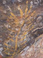 080 Ayers Rock - Wanderung