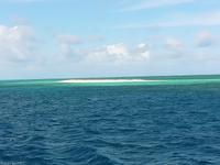 146 Cairns - Great Barrier Riff - Insel Michael Mas Cay